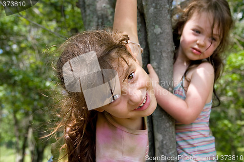 Image of Climbing Trees