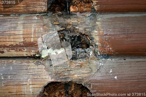 Image of Rotten Logs