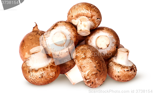 Image of Pile of fresh brown champignon top view