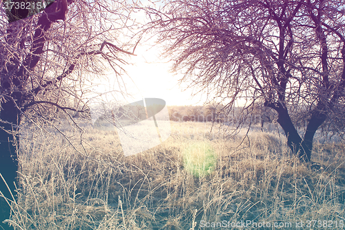 Image of Beautiful winter landscape with vintage toning effect