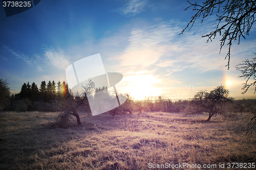 Image of Cold winter landscape with bright sunset and blue sky