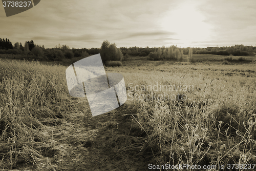 Image of Path in cold winter field. Sepia effect landscape