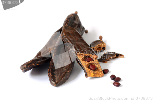 Image of Ripe carob pods