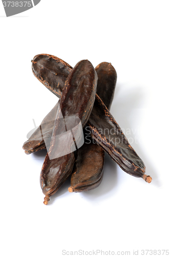 Image of Ripe carob pods