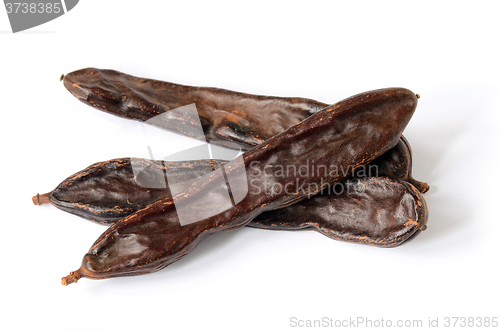 Image of Ripe carob pods