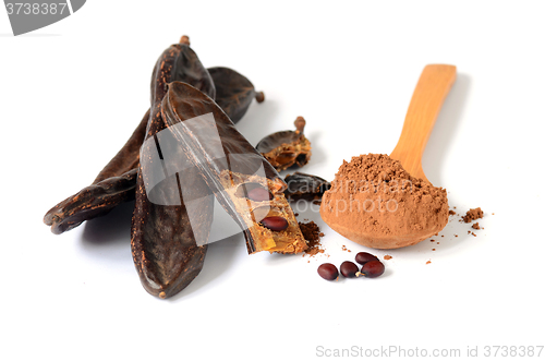 Image of Ripe carob pods