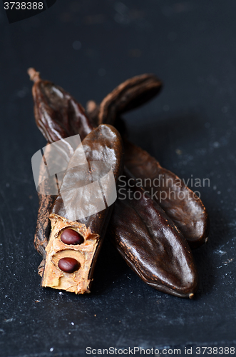 Image of Ripe carob pods