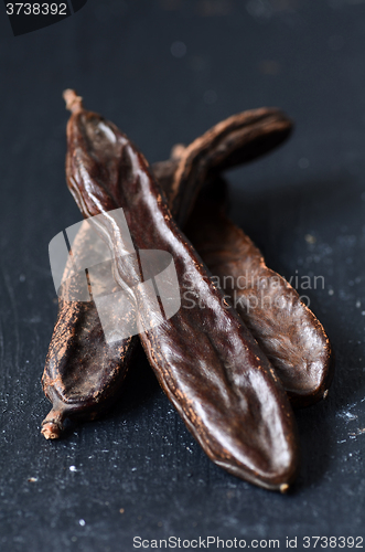 Image of Ripe carob pods