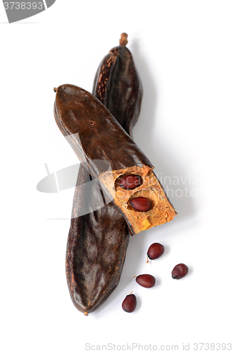 Image of Ripe carob pods