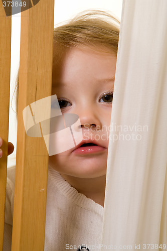 Image of Peek-a-boo