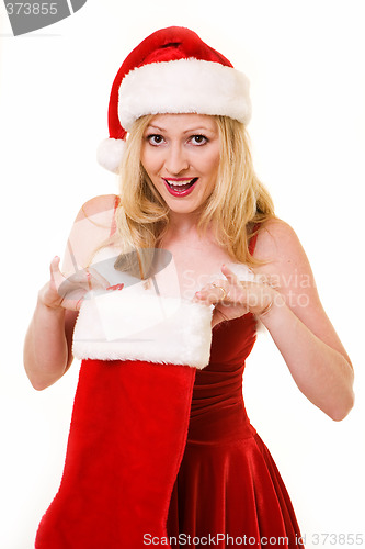 Image of Christmas Surprise