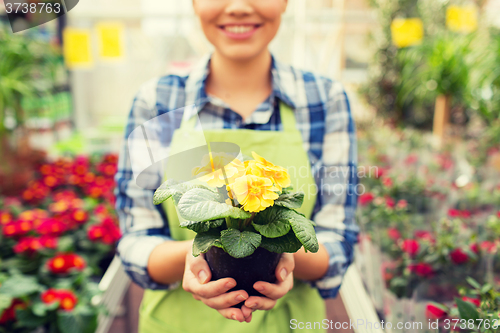 Image of close up of woman holding flowers in greenhouse