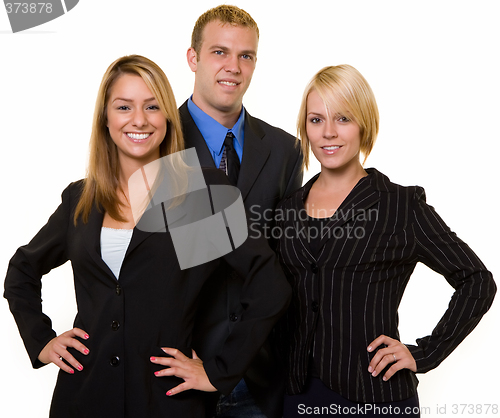 Image of Smiling Business team