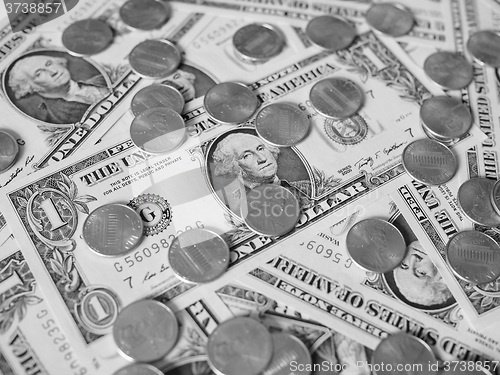 Image of Black and white Dollar coins and notes