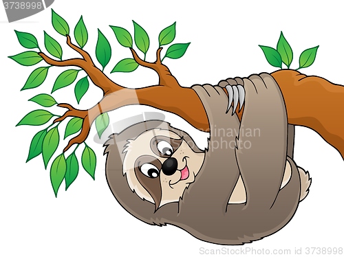 Image of Sloth on branch theme image 1