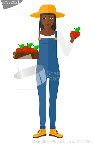 Image of Farmer collecting apples.