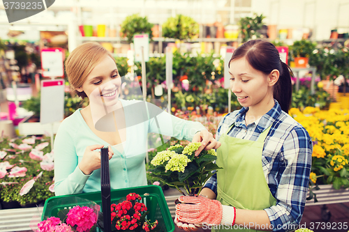 Image of happy women choosing flowers in greenhouse