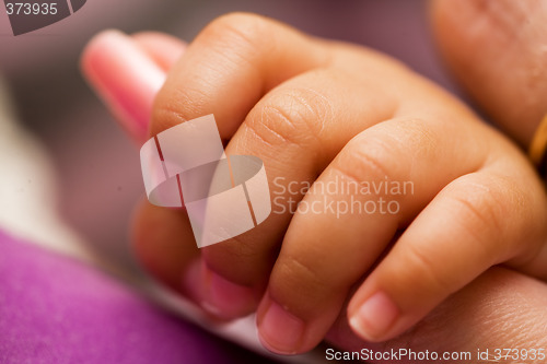 Image of Baby hand