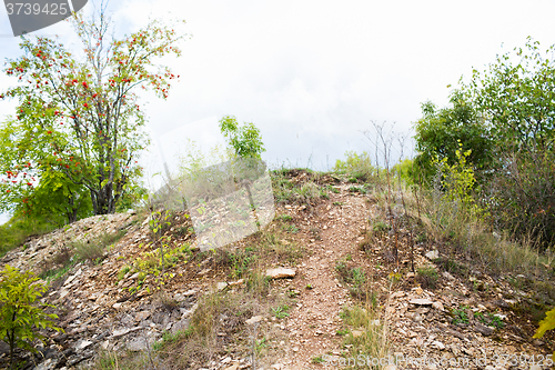 Image of close up of rocky hill and trees