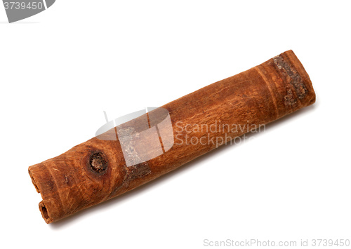 Image of Cinnamon stick isolated on white background