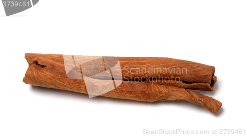 Image of Cinnamon stick. Close-up view. 
