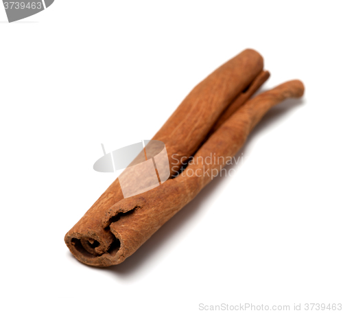 Image of Cinnamon stick on white background
