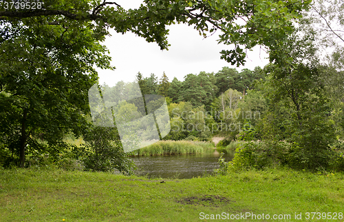 Image of view to summer forest and river or lake