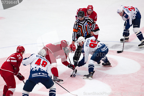 Image of A. Potapov (89) and R. Horak (15) on face-off