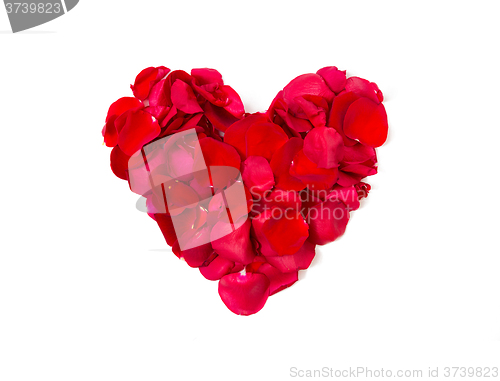 Image of close up of red rose petals in heart shape