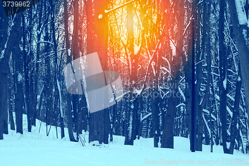 Image of Beautiful winter sunset