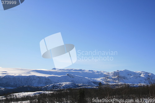 Image of Snow covered mountains