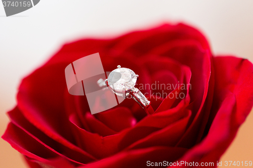 Image of close up of diamond engagement ring in rose flower
