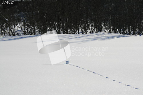 Image of Small snowball rolling