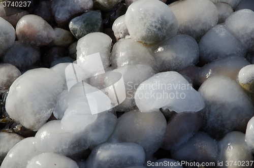 Image of Ice covered pebbles