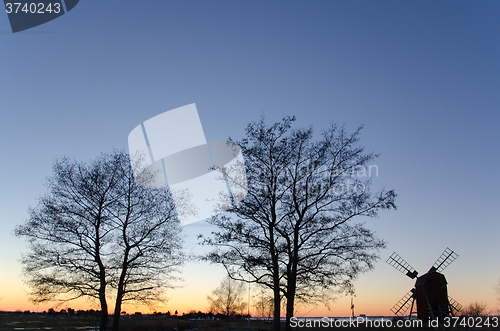 Image of Twilight view with trees and a windmill