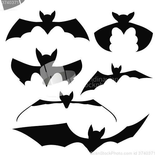 Image of Bats Black Silhouettes