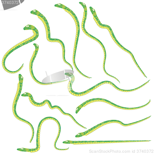 Image of Green Snakes Set