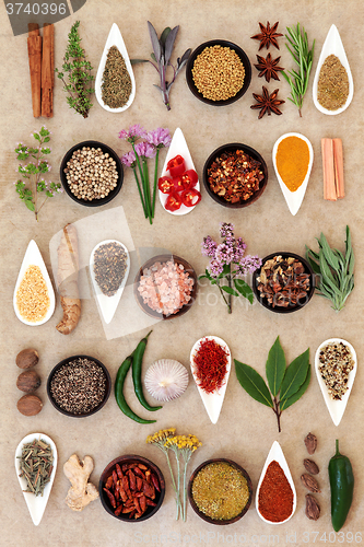 Image of Spice and Herb Sampler