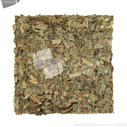 Image of Neem Herb