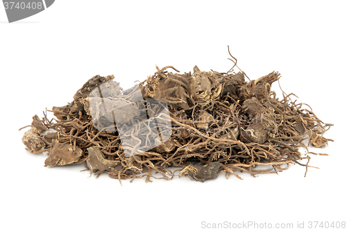 Image of Black Cohosh Root Herb