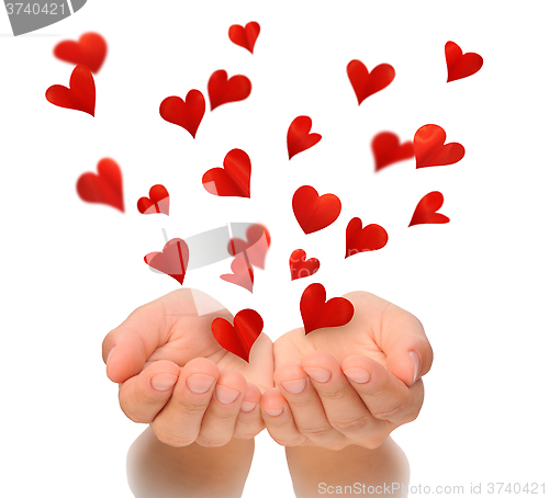 Image of Flying hearts from cupped hands of young woman, Valentine's Day, love concept, birthday card, isolated  