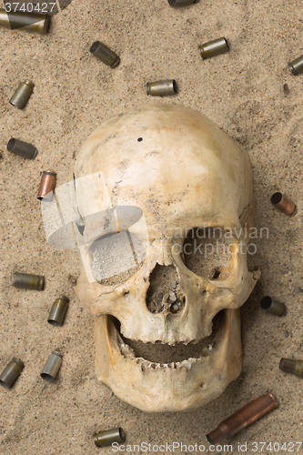 Image of skull lying in the sand, scattered rifle and pistol cartridges. concept of war