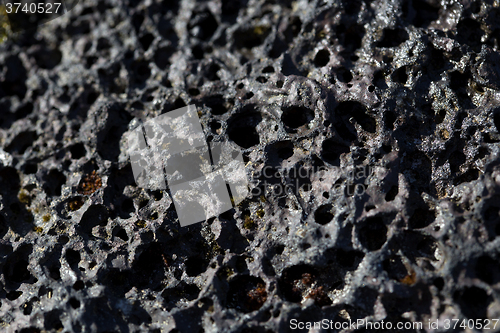 Image of Closeup of volcanic stone