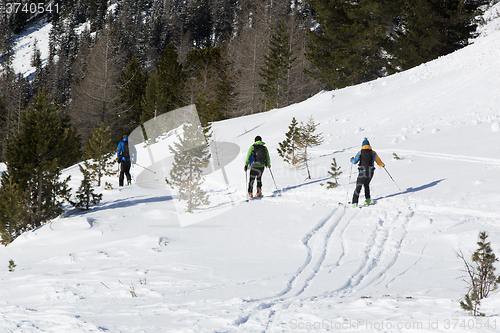 Image of Skiers on the slopes