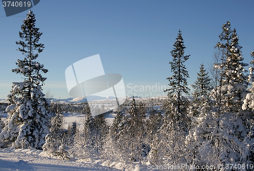 Image of Snowy landscape