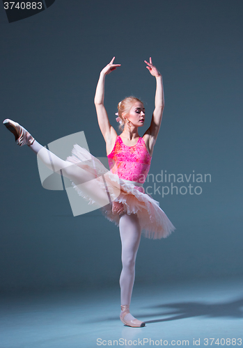 Image of Portrait of the ballerina in ballet pose