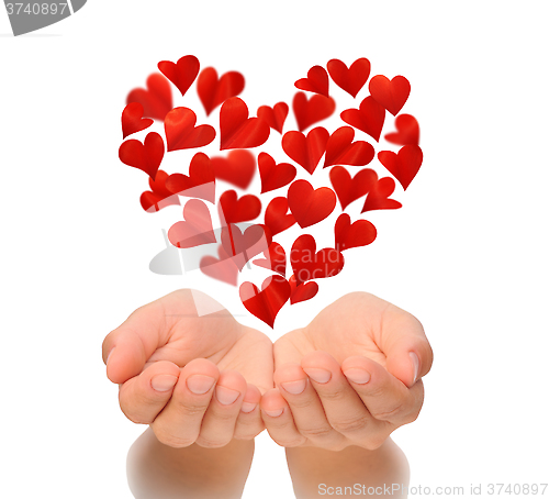 Image of Hearts in heart shape flying over cupped hands of young woman