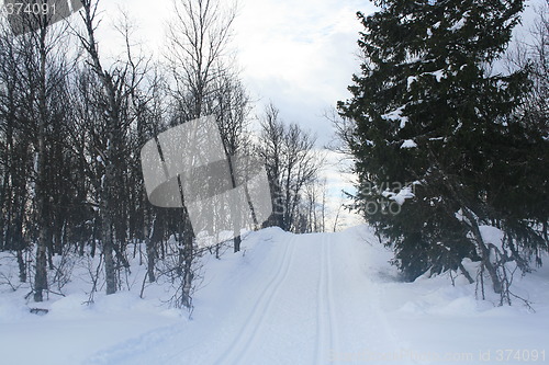 Image of Ski tracks