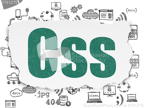 Image of Software concept: Css on Torn Paper background