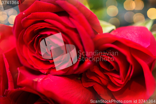 Image of close up of red roses bunch